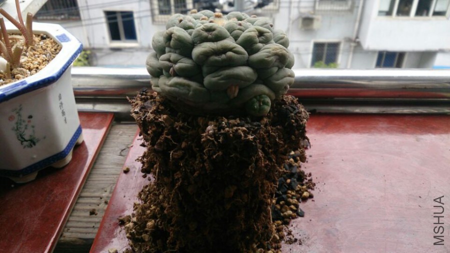 QQͼƬ20160321095345.jpg