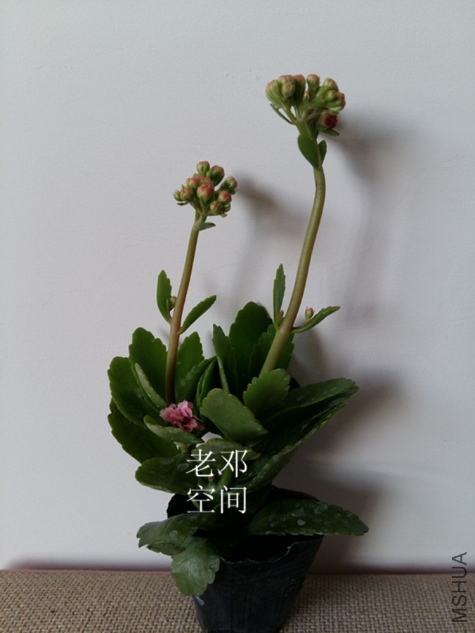 20160321_070252_����.jpg