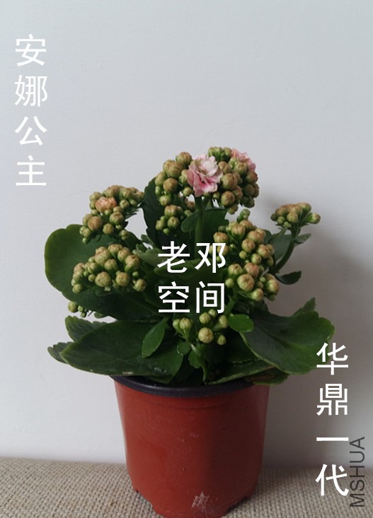 20160317_142411_����.jpg