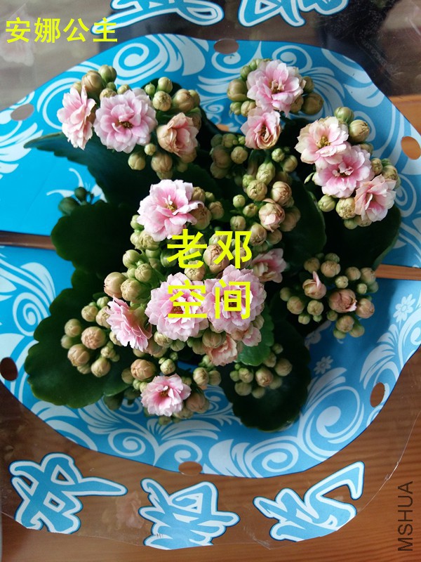 20160319_154419_����.jpg