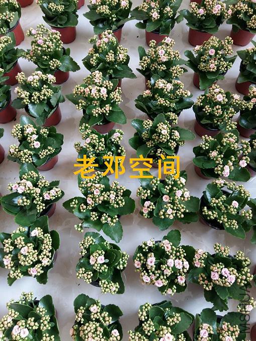 20160320_090216_����.jpg