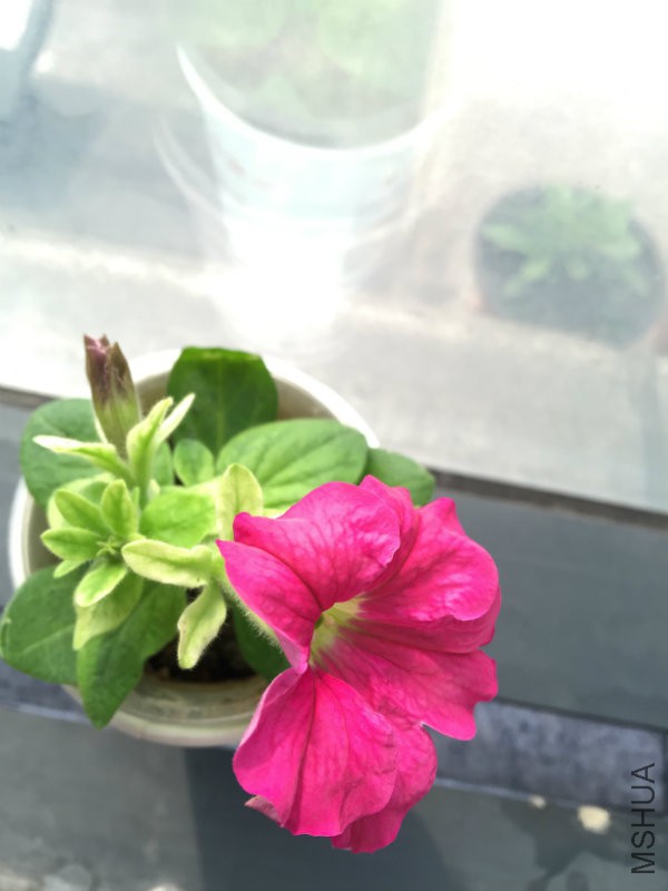 3.21�е����ˣ�õ��ɫ��