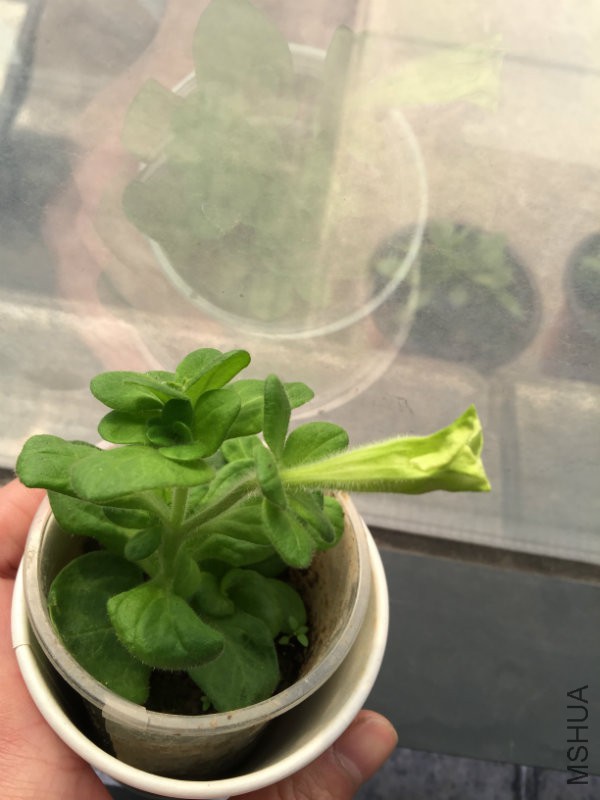 2016.3.21��һ����ժ��������.