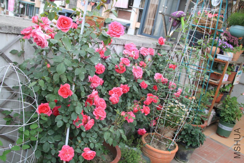 ����  ��