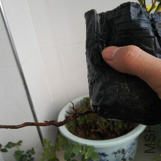 UC_Photo_113.jpg