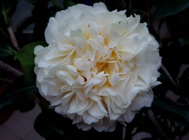 20160318_163617_����.jpg