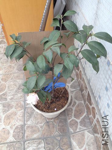 ������