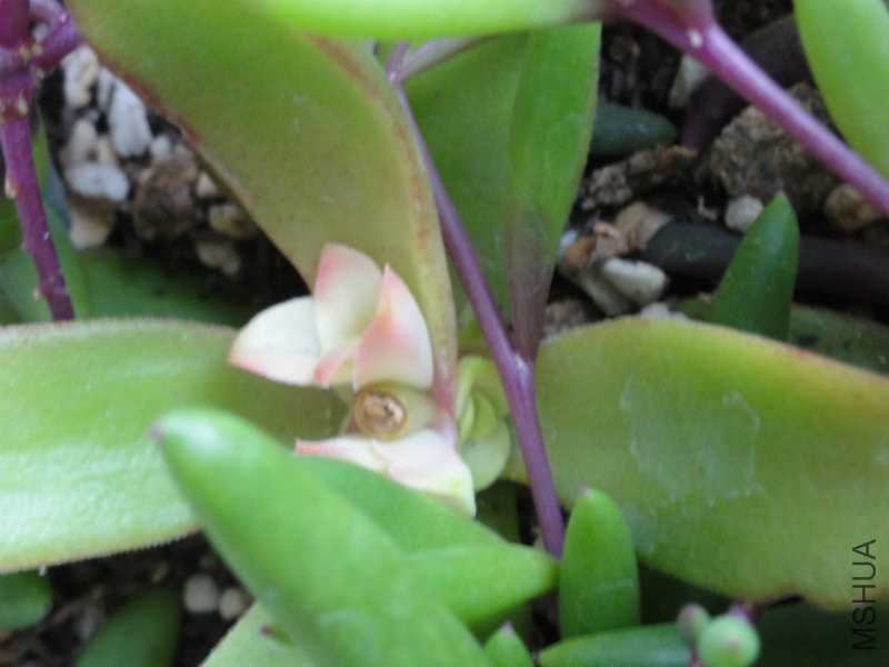 DSC01791.JPG