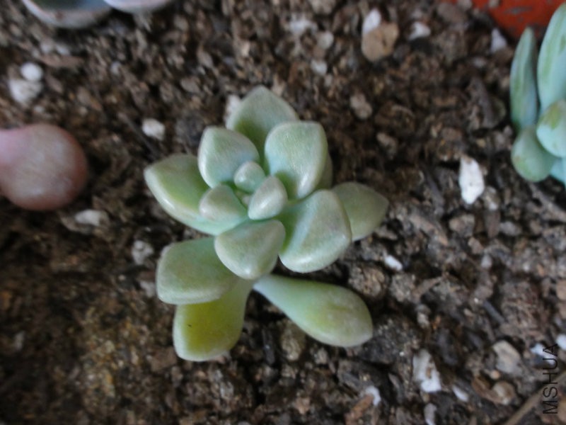 DSC01804.JPG