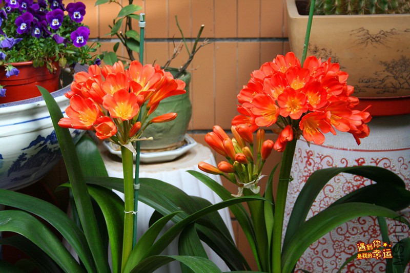 ��Ƭ 024_����.jpg