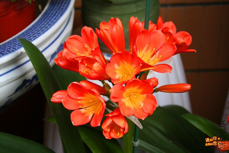 ��Ƭ 028_����.jpg