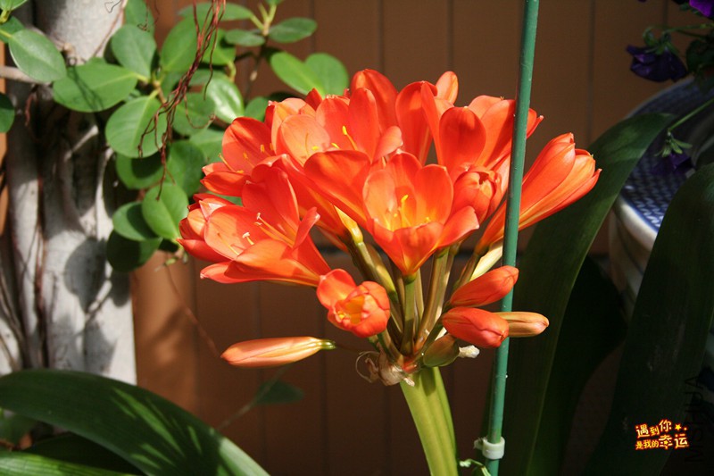 ��Ƭ 026_����.jpg