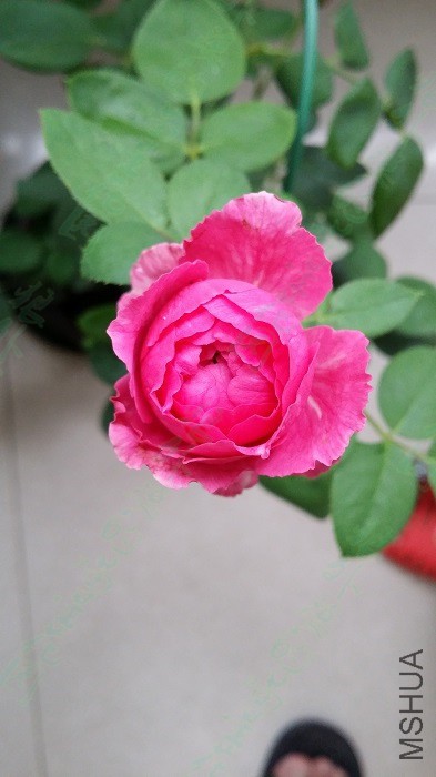20150705_˫�˰���.jpg