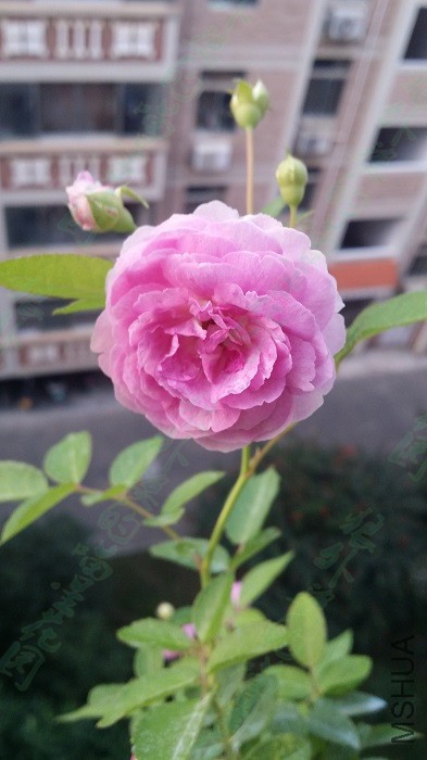20151203�꼧����.jpg