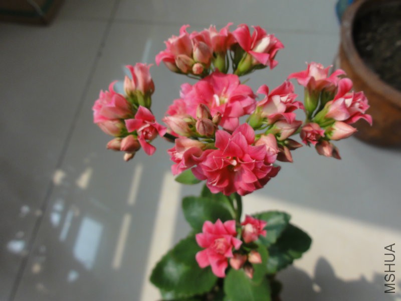 DSC01824.JPG