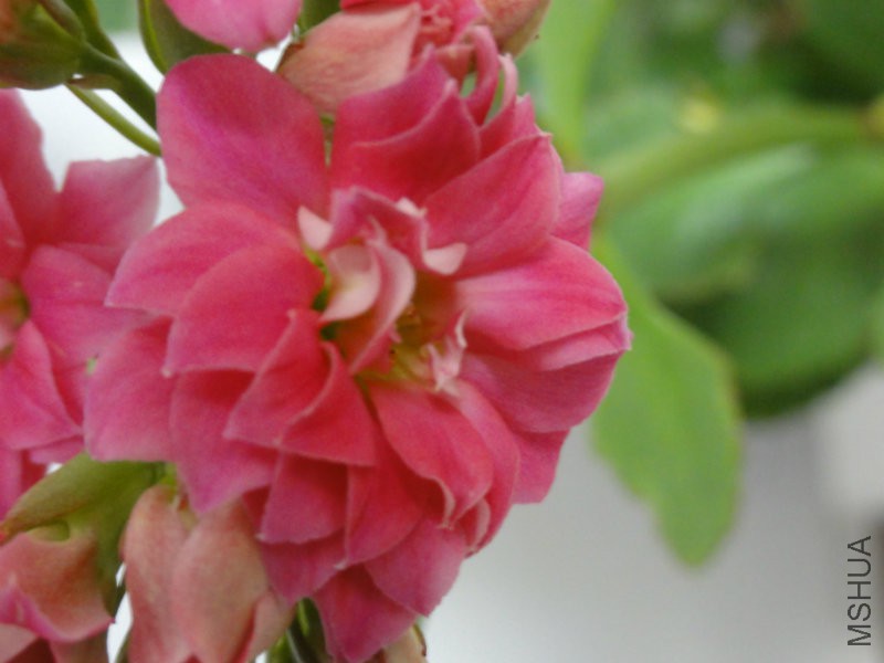 DSC01842.JPG
