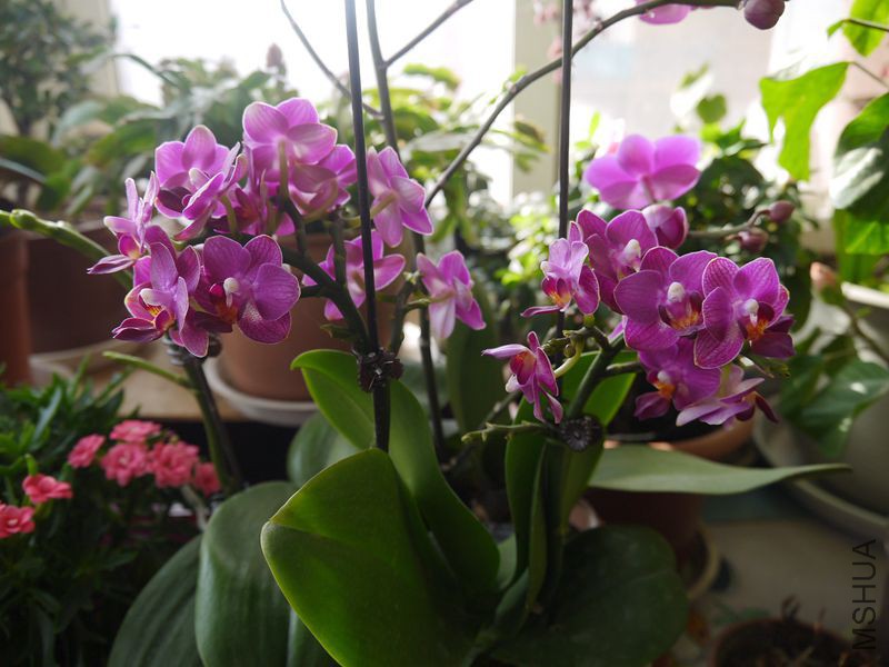 P1120076_����.jpg