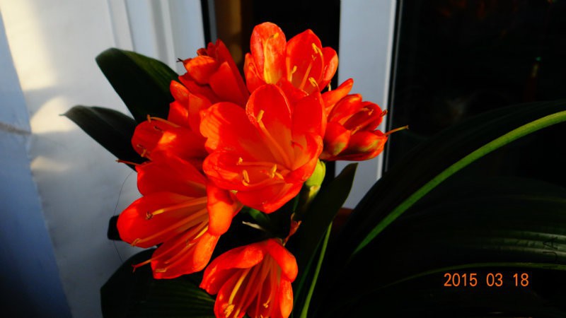 DSC00854.JPG