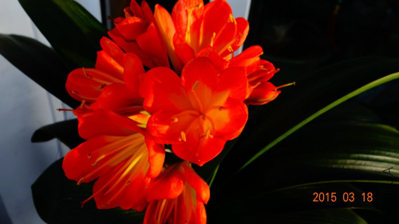 DSC00855.JPG