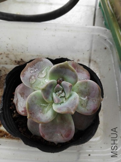 QQͼƬ20160323091837.jpg