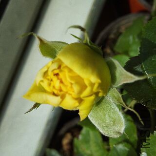 UC_Photo_120.jpg