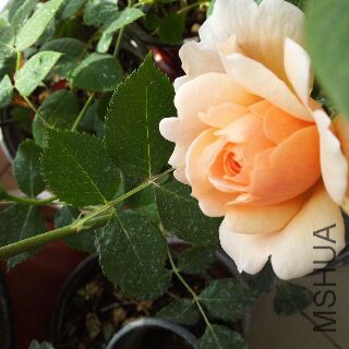 UC_Photo_122.jpg