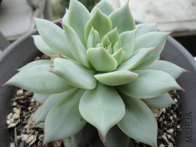 DSC01233.JPG