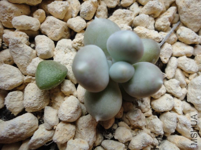 DSC01242.JPG