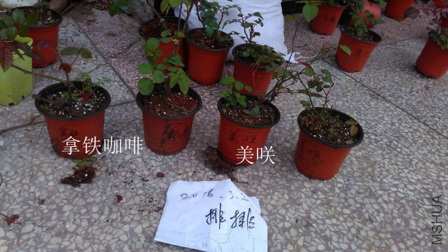 QQͼƬ20160323143941.jpg
