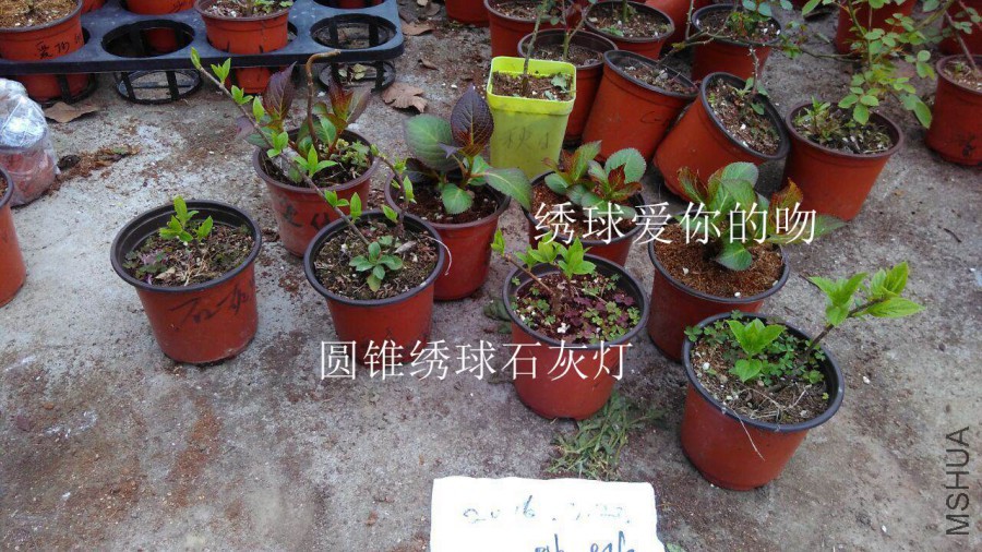 QQͼƬ20160323143950.jpg