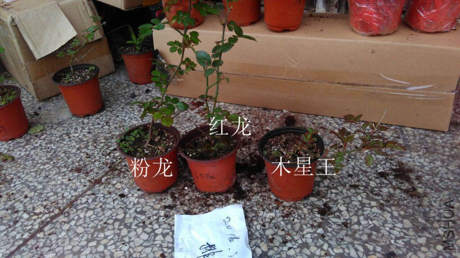 QQͼƬ20160323144004.jpg