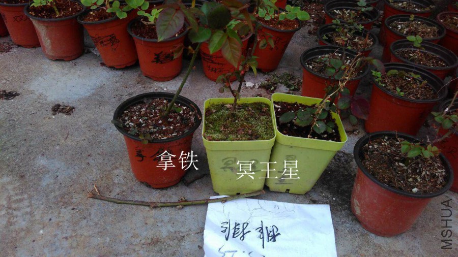 QQͼƬ20160323144007.jpg