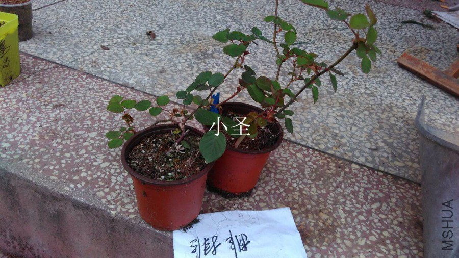 QQͼƬ20160323144017.jpg
