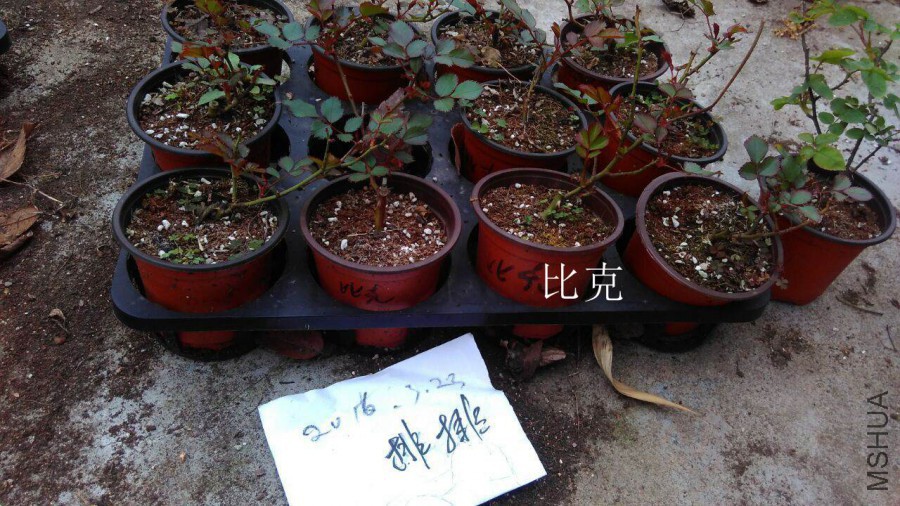 QQͼƬ20160323144036.jpg
