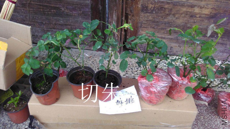 QQͼƬ20160323144040.jpg