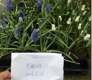 QQͼƬ20160323175603.png