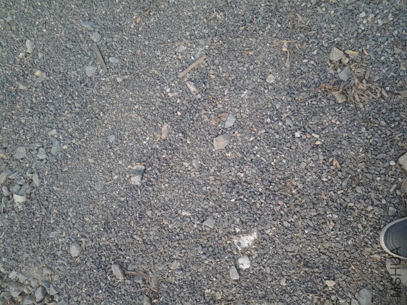 20160317_084150.jpg