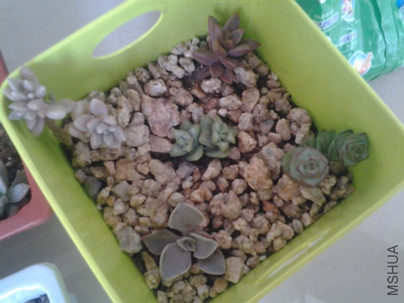20160317_135758.jpg