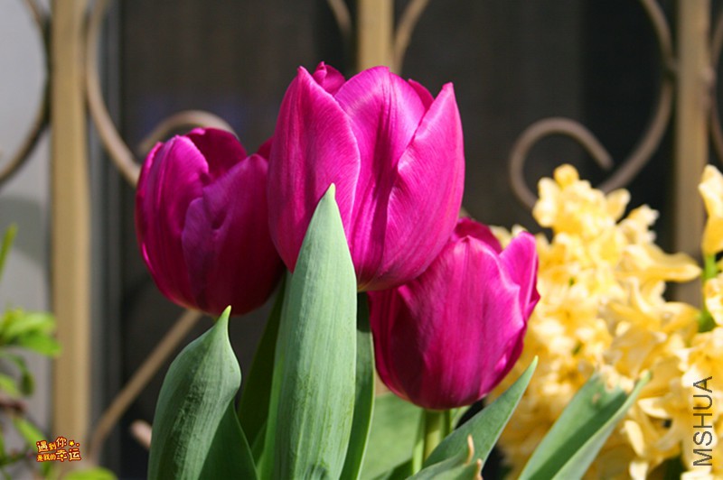 ��Ƭ 019_����.jpg