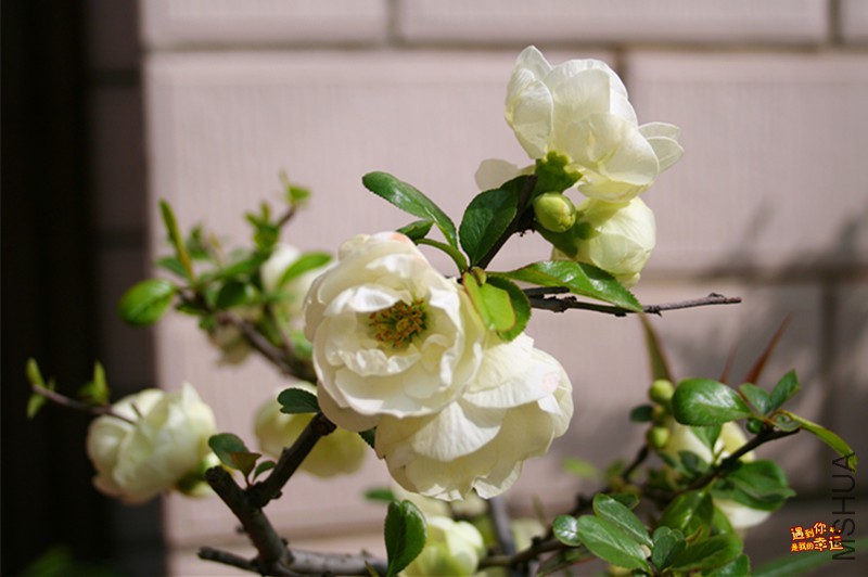 ��Ƭ 052_����.jpg