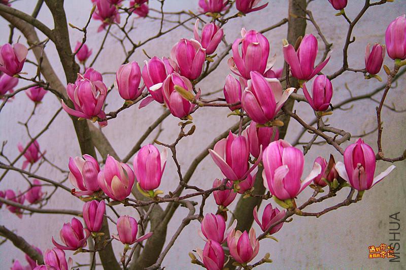 ��Ƭ 063_����.jpg