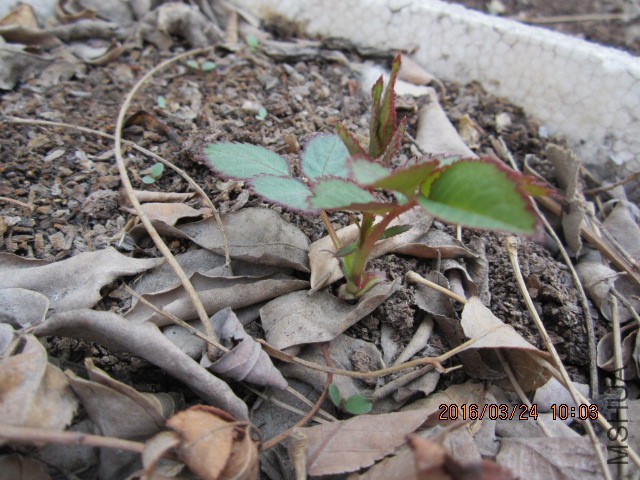 IMG_5721.JPG