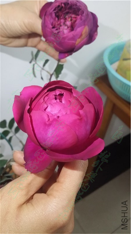20160317_185259.jpg