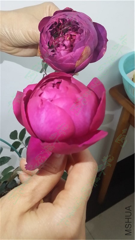 20160317_185313.jpg
