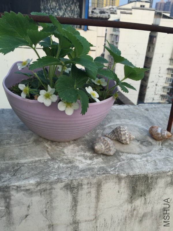 ò�ƿ��Խ�ܶ�Ӵ