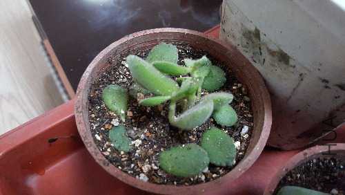 20160324_212953.jpg