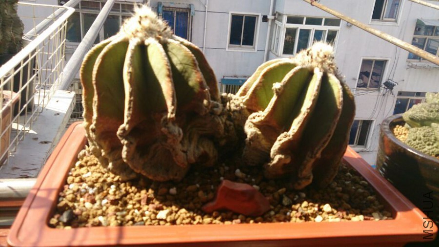 QQͼƬ20160325101533.jpg