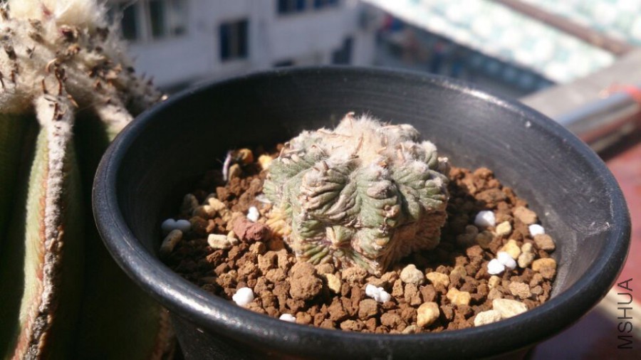 QQͼƬ20160325101540.jpg