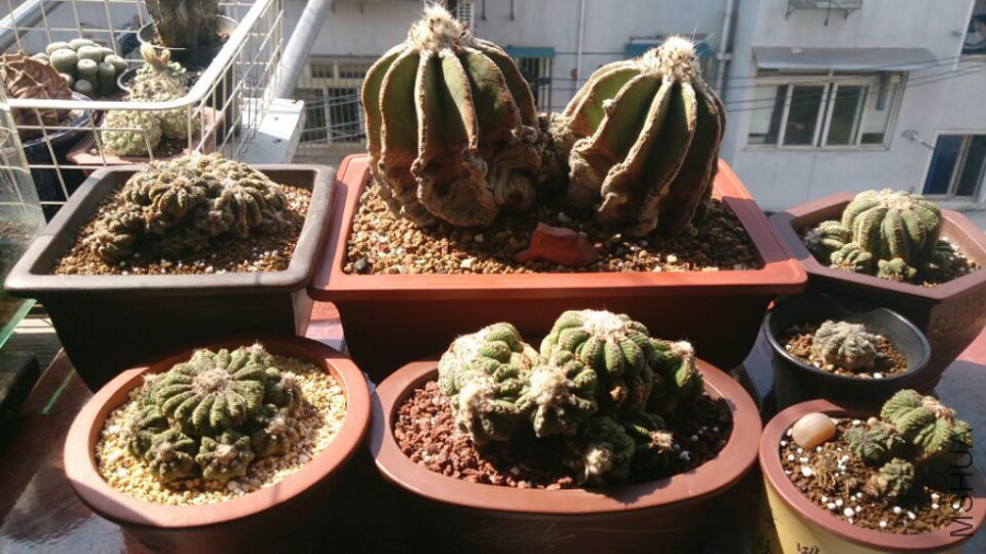 QQͼƬ20160325101544.jpg