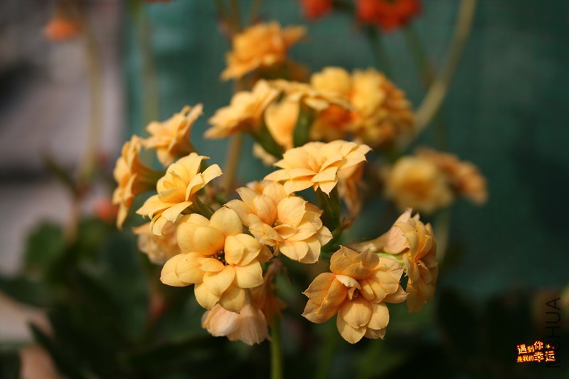 ��Ƭ 024_����.jpg